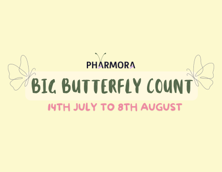Big Butterfly Count